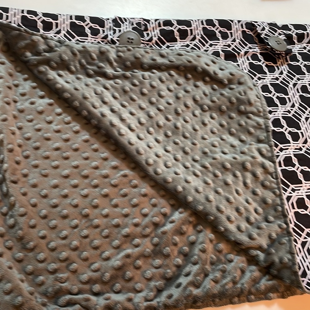 Car Seat Canopy - Picture 3 of 6